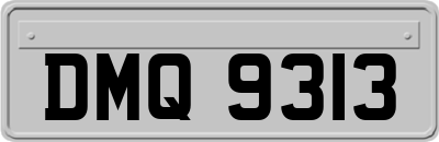 DMQ9313