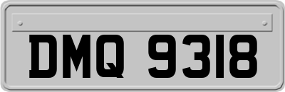 DMQ9318