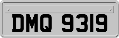 DMQ9319