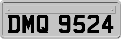 DMQ9524