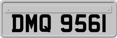 DMQ9561