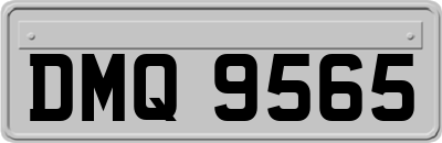 DMQ9565