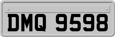 DMQ9598