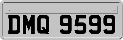 DMQ9599
