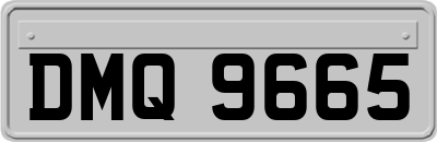 DMQ9665
