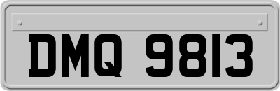 DMQ9813