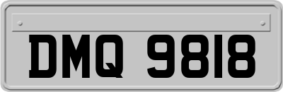 DMQ9818