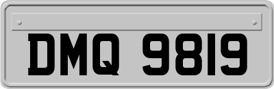 DMQ9819
