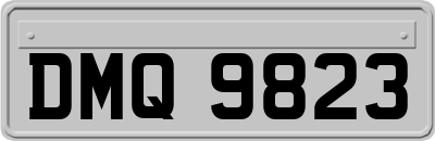 DMQ9823
