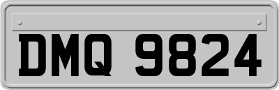 DMQ9824