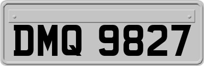 DMQ9827