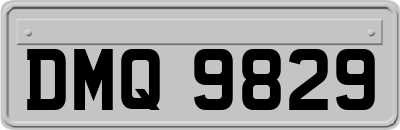 DMQ9829