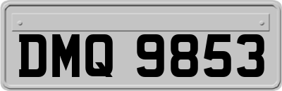 DMQ9853