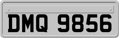 DMQ9856