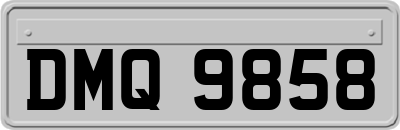 DMQ9858