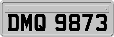 DMQ9873