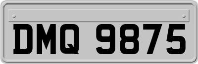 DMQ9875