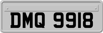 DMQ9918