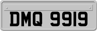 DMQ9919