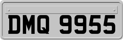 DMQ9955