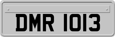 DMR1013