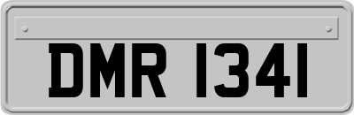 DMR1341