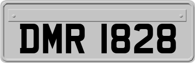 DMR1828
