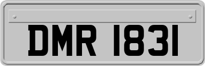 DMR1831
