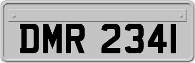 DMR2341