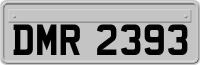 DMR2393
