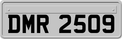 DMR2509