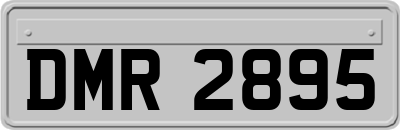 DMR2895