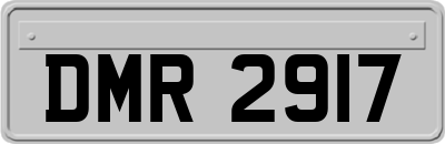 DMR2917
