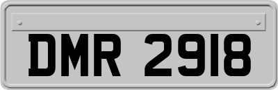 DMR2918