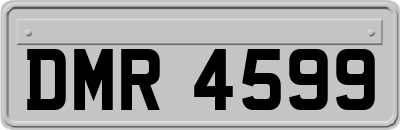 DMR4599