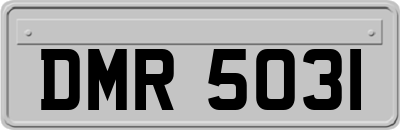 DMR5031