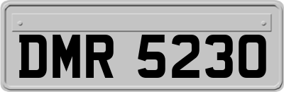 DMR5230