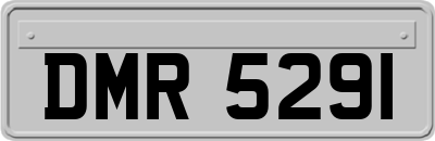 DMR5291