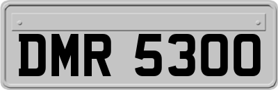 DMR5300