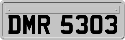 DMR5303