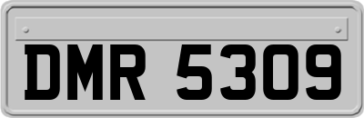 DMR5309