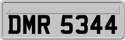 DMR5344