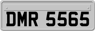 DMR5565