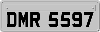 DMR5597
