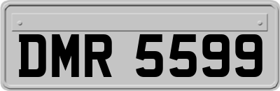 DMR5599