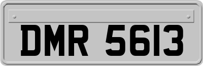 DMR5613