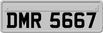 DMR5667