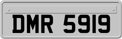 DMR5919