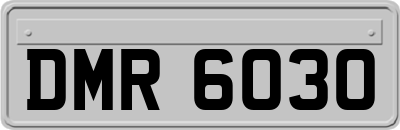 DMR6030