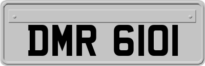 DMR6101